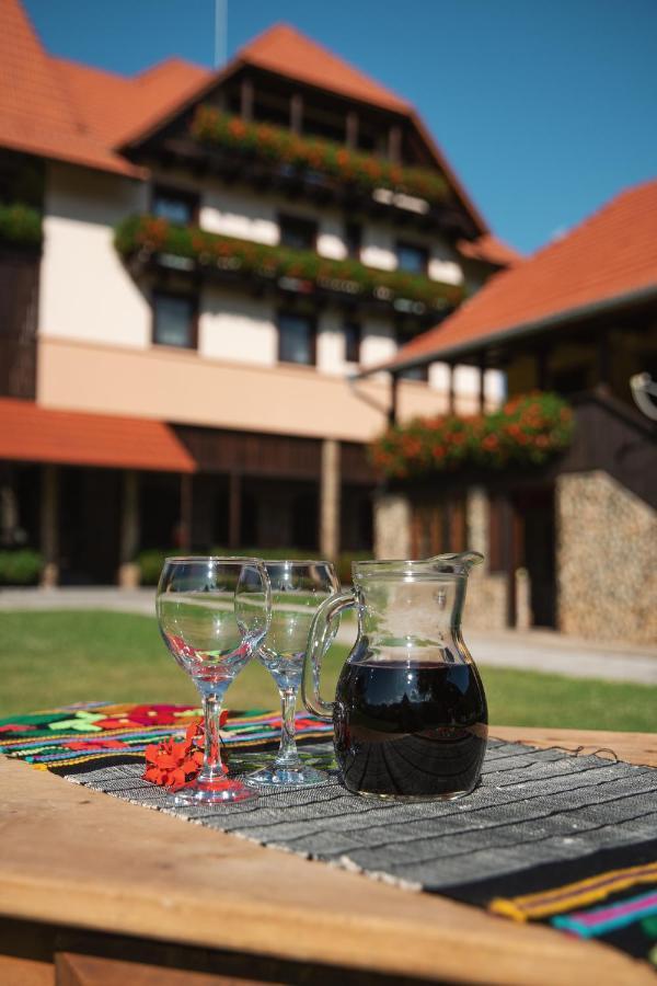 Villa Gherman Sălciua de Jos Extérieur photo
