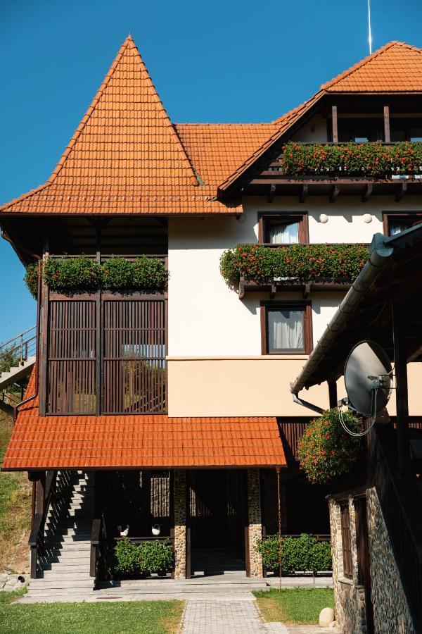 Villa Gherman Sălciua de Jos Extérieur photo