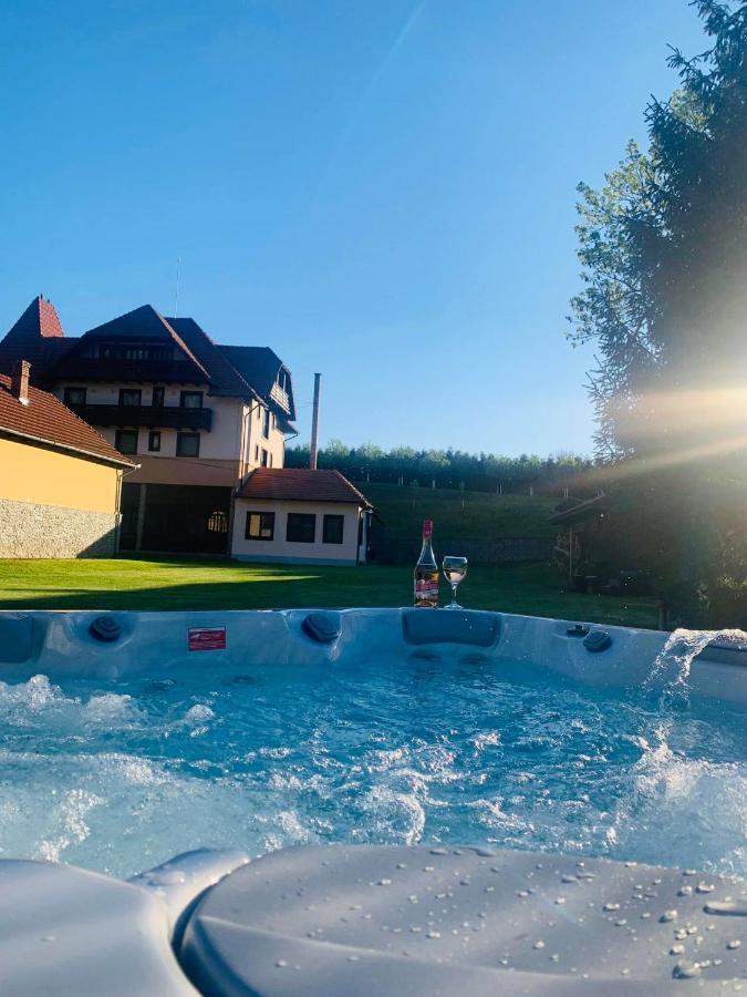 Villa Gherman Sălciua de Jos Extérieur photo